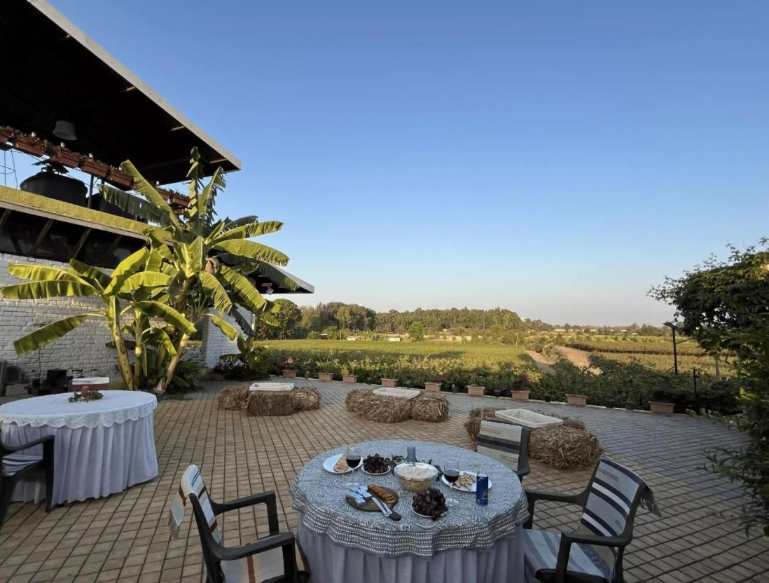 Saffronstays Onellaa, Nashik - Infinity Pool Villa Surrounded By A Vineyard Экстерьер фото